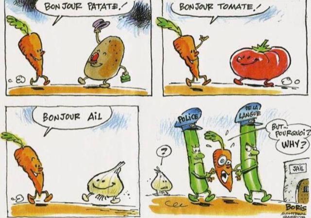 drmarcelo's tweet image. #CAQ #BonjourHi #languagelaws