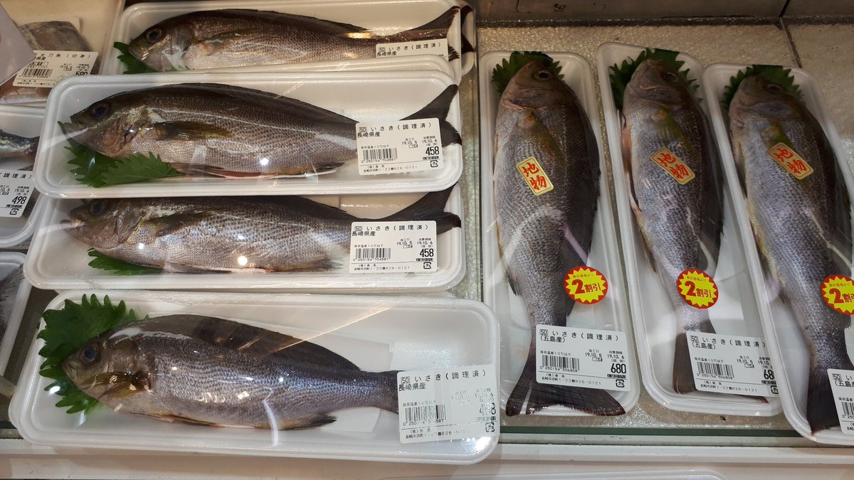 しんげん S東美 やっぱり東日本じゃあまり見ないおもしろそうな魚売っていて 楽しそう くさな こち もちうお いさき ひらす
