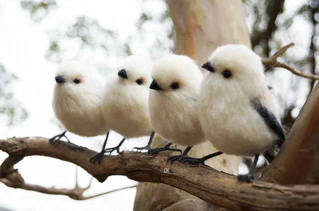 「シマエナガの眠り方」起きている姿も眠っている姿もかわいすぎるシマエナガをぜひご覧ください。