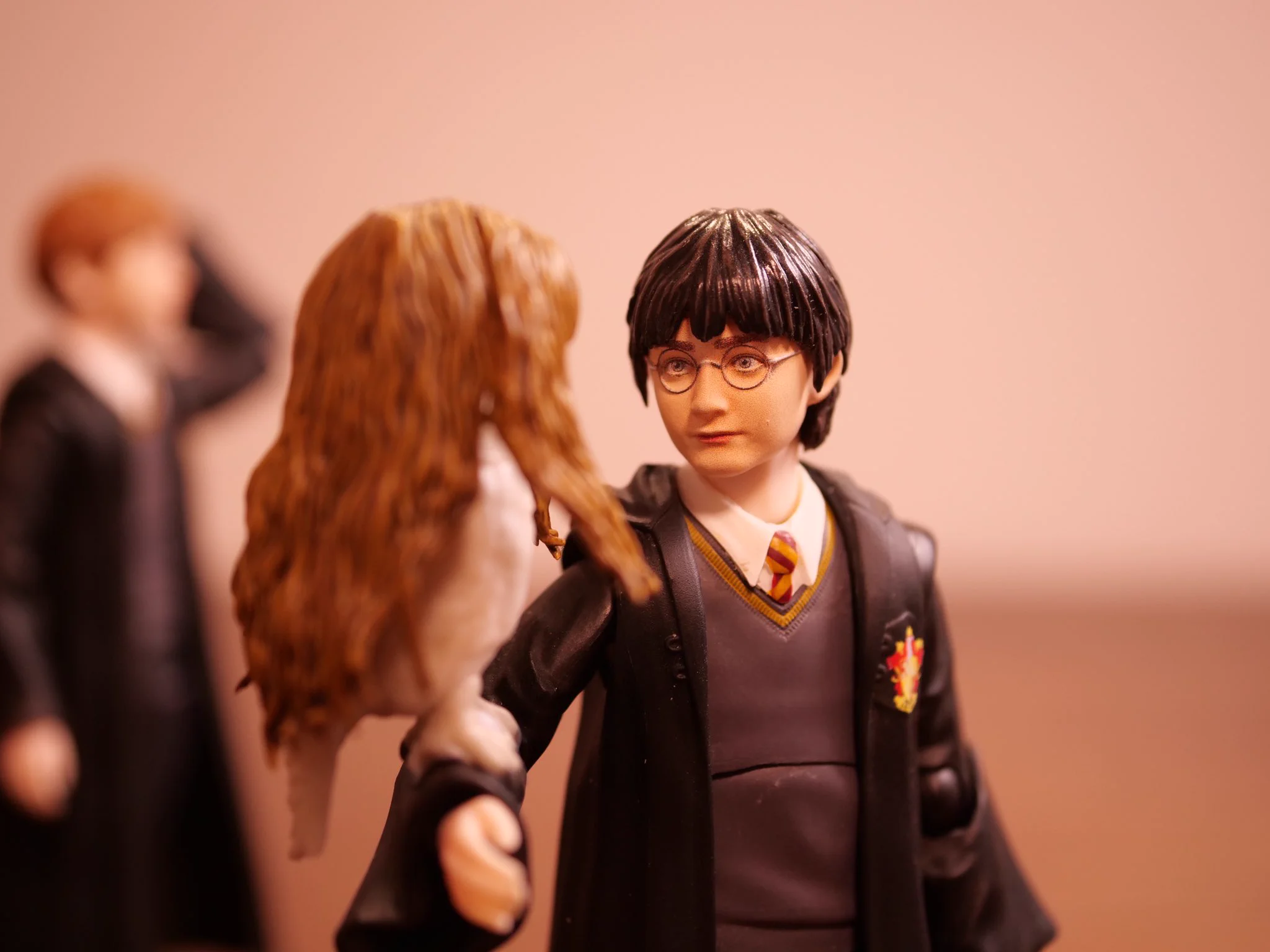 ロンが合成獣を作り出した結果？ハーマイオニーが犠牲になった…。