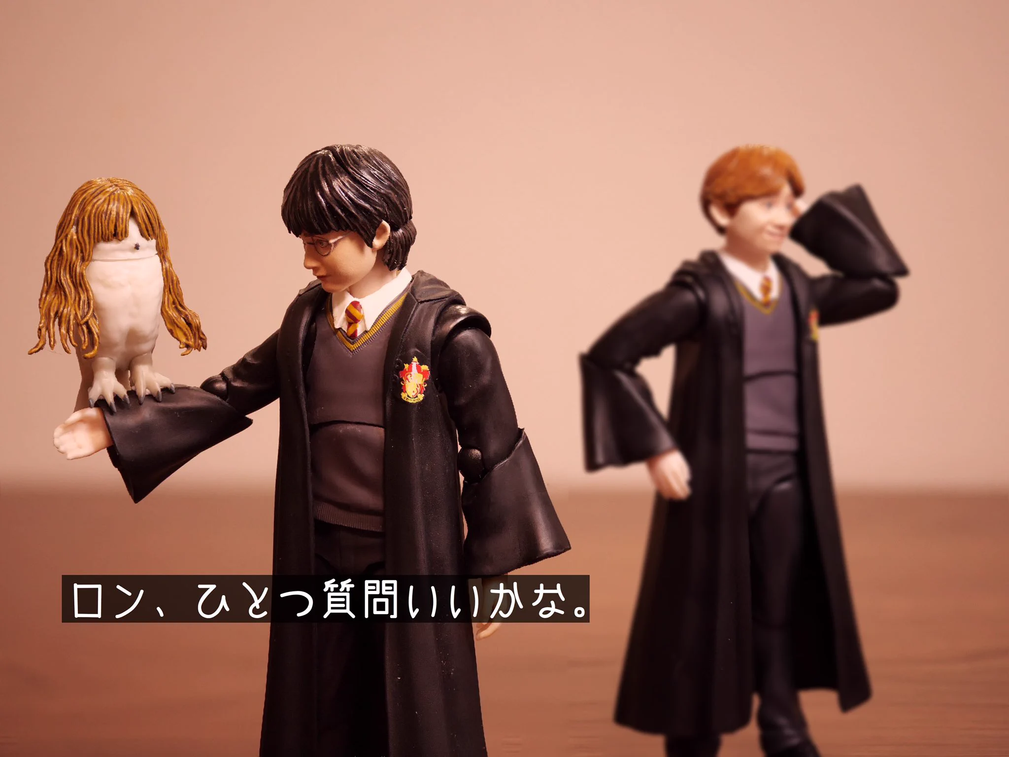 ロンが合成獣を作り出した結果？ハーマイオニーが犠牲になった…。