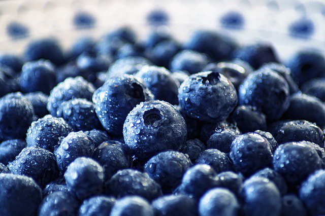 blueberries's tweet photo. Grab some more of the berry that loves you back 💙#Blueberries pack big flavor &amp; are a good source of fiber, yet are small enough to fit into every routine. #RDeats #RDchat https://t.co/xVQKO5C4jb