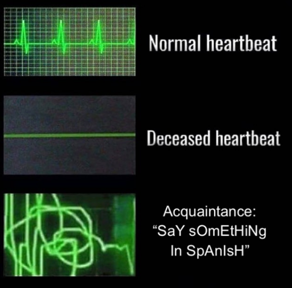 europelanguage1's tweet photo. #polyglots #languagesmeme https://t.co/nv4uM58xYL