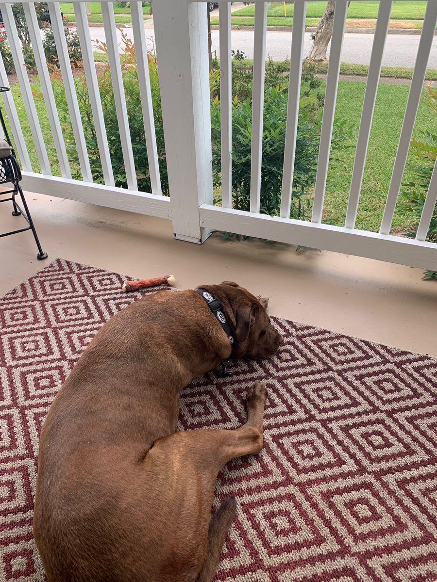 A little coffee on the front porch with my pup. Great way to relax before the start of the work week.