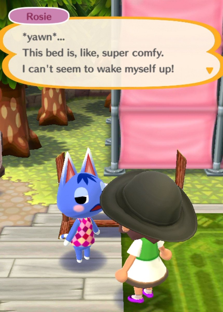 minikintwitch's tweet photo. Rosie is such a mood 🐱🌱 #AnimalCrossing #PocketCamp https://t.co/FQglE5YAm6
