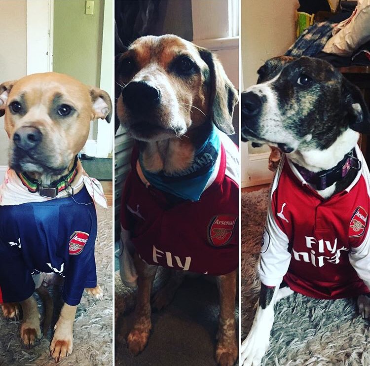 Link2theMax's tweet photo. Hoping for three points #MyPLMorning https://t.co/8BIRiTmJLh