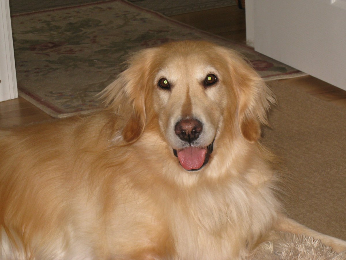 Harper Lee & MaryCate tweet media