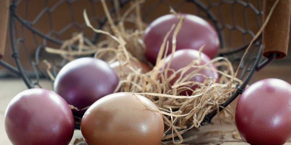SigerioStore tweet picture