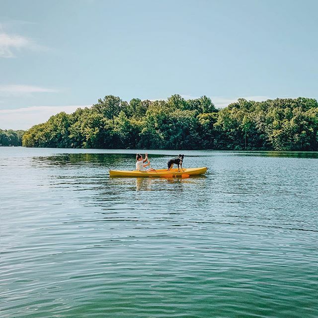 Currently scouring Cragslist, Facebook marketplace &amp; other sale sites for an affordable used kayak so I can do this more often! Any idea what kind I should look for? Something that suits a beginner on rivers &amp; lakes. Sit in or sit on? Foldable or inflata… ift.tt/2OqkzXc