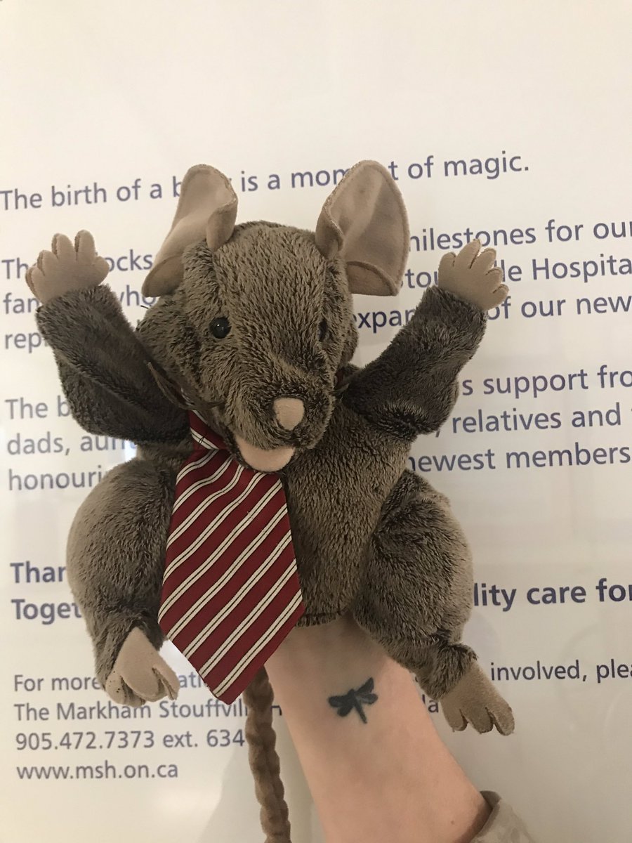 MshSafety's tweet photo. Part of #iCARE at @MSHospital is spreading #joyatwork! 🧡
At our latest steering team meeting, Sue from #mainregistration introduced Raffi: a little mouse who appears when the lineup is long &amp; frustrations are rising🐭😄 adults &amp; children enjoy his antics alike! #funinhealthcare https://t.co/eNzU99JFcd