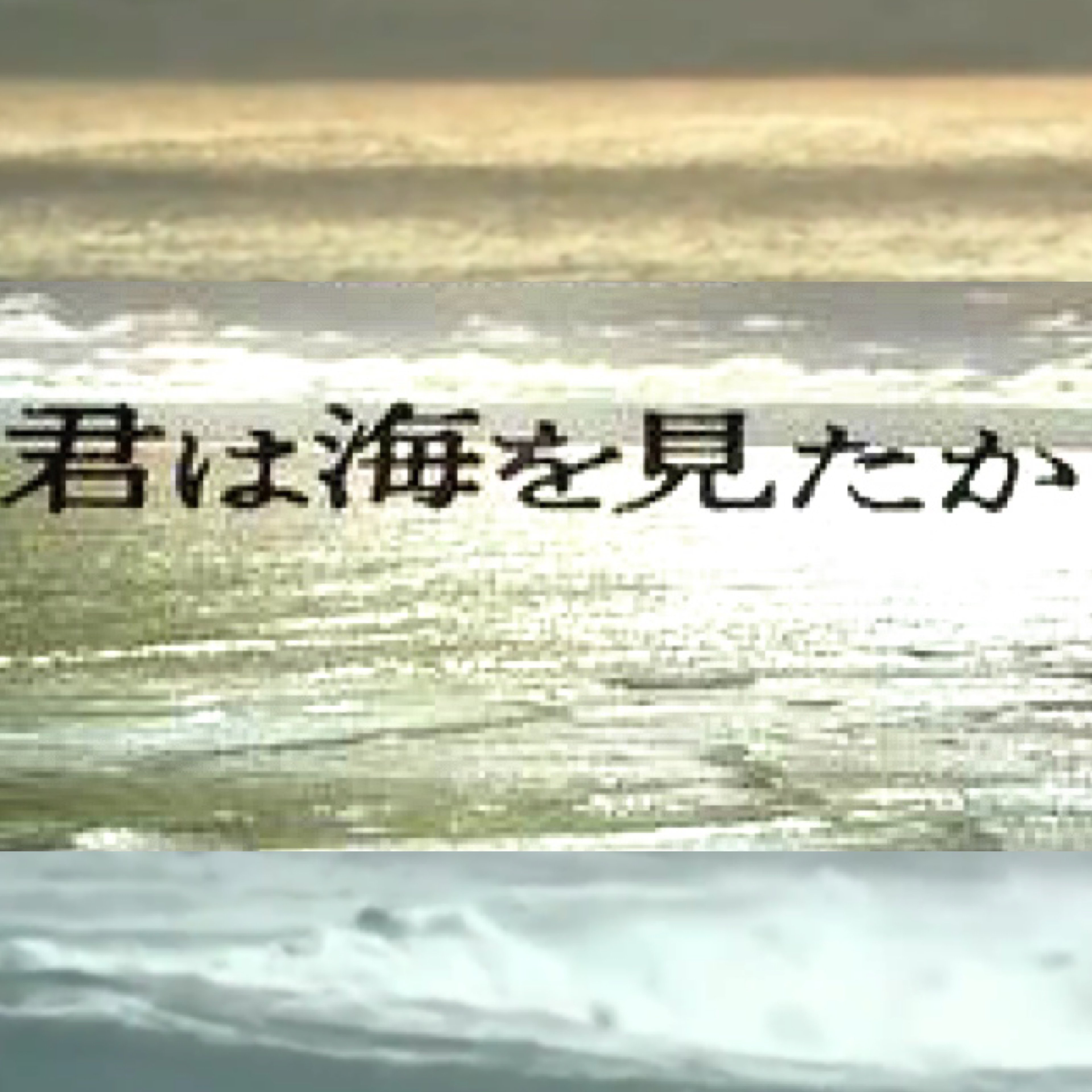 君は海を見たか　倉本聰　82　平幹次郎Ver　シナリオ　ドラマ　ベスト５ 君は海を見たか 倉本聰 82 萩原健一Ver シナリオ ドラマ ベスト