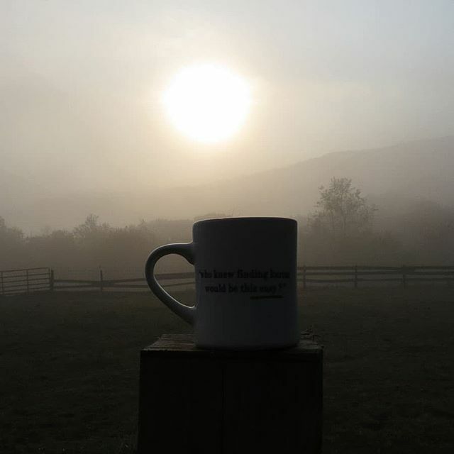 Fog cutter.
Now the season is getting interesting!
.
.

#community

#authentic #smallbatch #coffee #fresh #roasted #indarkhollow  #buylocal #eatlocal #ilovecoffee  #iloveva #and #sugargrove #swva  #locallyroasted ift.tt/2IrZfwB