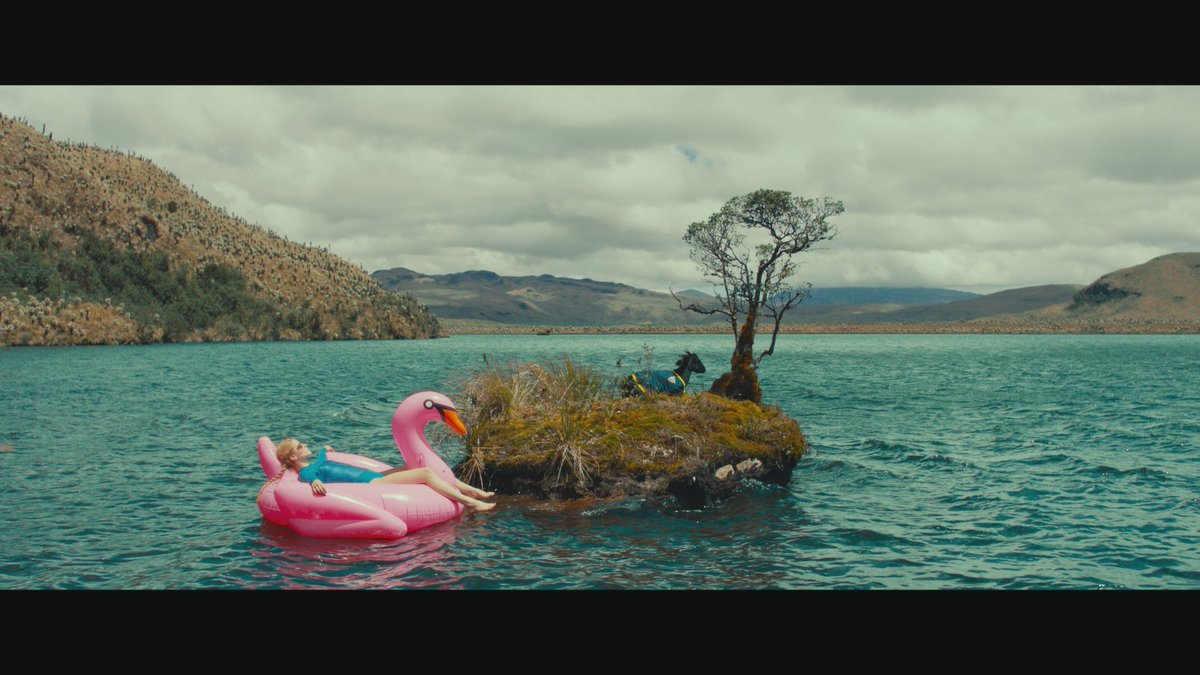 lilyvanghemen's tweet photo. Soaking up the sun ☀️
#explorer #centerEarth #Amazonia #bts #asonofman #ASOM #life in #nature #mymovie #goat #landscape #serendipity #makikokudo #pinkflamingo introducing #Ecuador @ASONOFMANmovie
⭐️próximamente - solo en cines⭐️ https://t.co/tsRStr4FOk