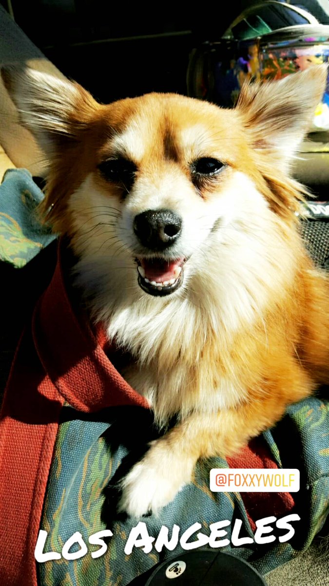 MsMastaFoXX LLC♌👽🖖🌋🕉🔑7-FigBizOwner💰👑🌊💜☯️ tweet media