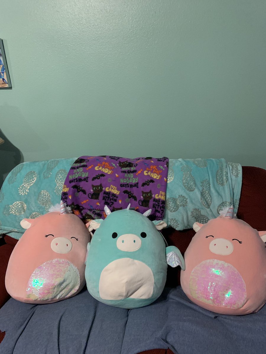 JakePikachu13's tweet photo. @squishmallows Met some friends on amazon :) https://t.co/YZXaDscH0x