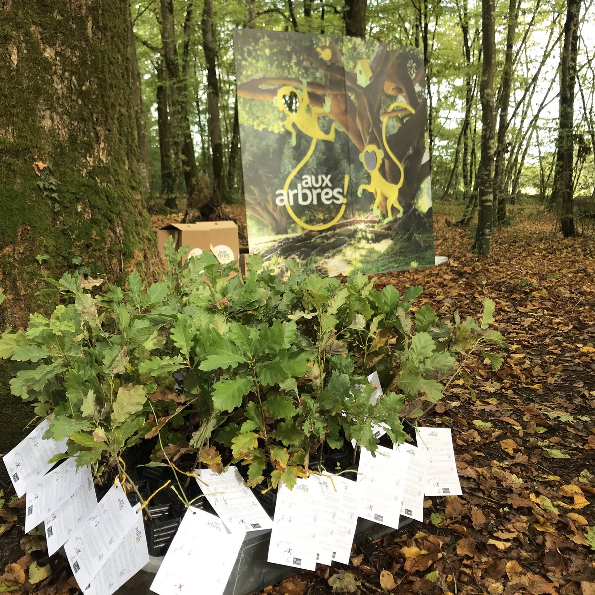 MDM_Foundation's tweet photo. La forêt de Touffou nous a permis d’accueillir près de 120 parents &amp; enfants pour une balade #AuxArbresLesEnfants : un beau moment de connexion à la nature 🌱🍂🐌 qui ne s’arrête pas ce soir. Téléchargez le guide sur https://t.co/NFuw3Q58BE pour vos prochaines balades d’automne! https://t.co/QDdxIOALNJ