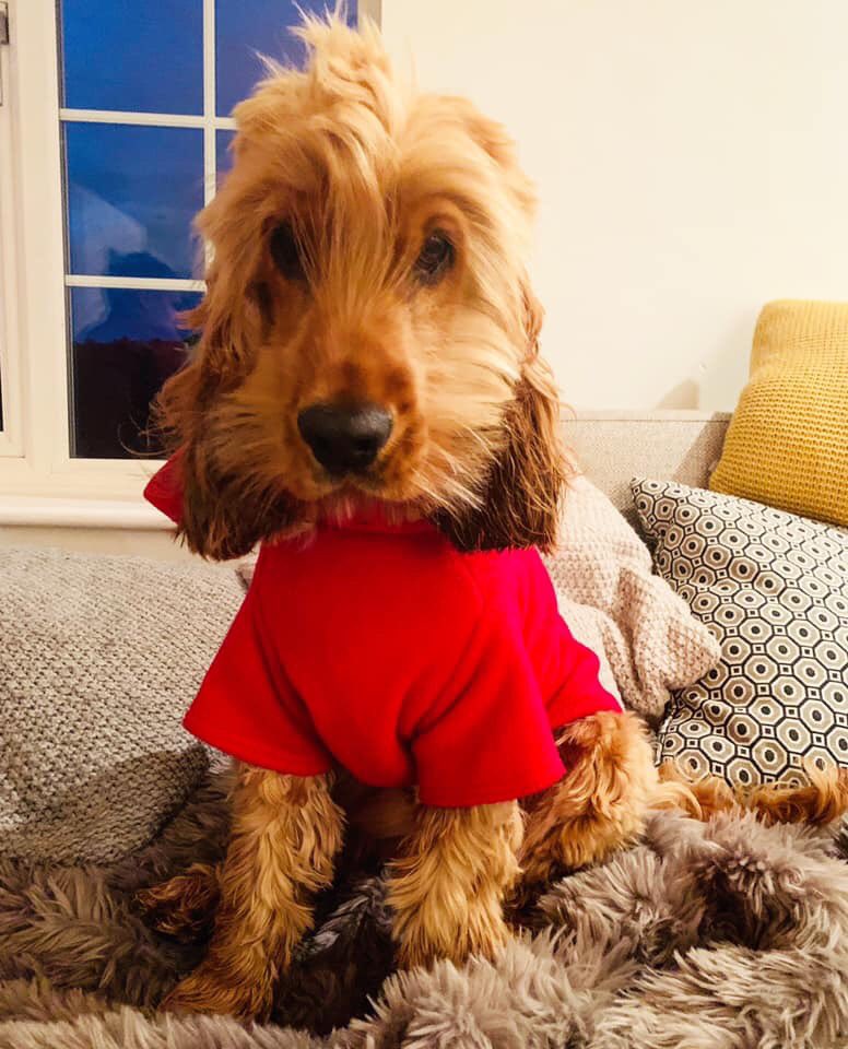 We’re all in our jammies snuggling down for a rest &amp; a good sleep - getting ourselves ready for tomorrow mornings workout! 🙌🏻 

Water bottle, trainers &amp; sports bra are all laid out ready for the 6:15 start so there’s no stress in the morning-

There’s still time to sign up..