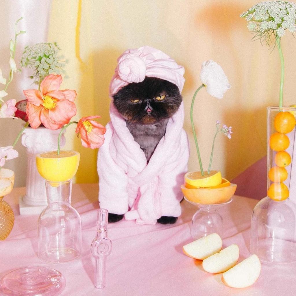 sinwithout's tweet image. #SelfCareSundays are v important !!!