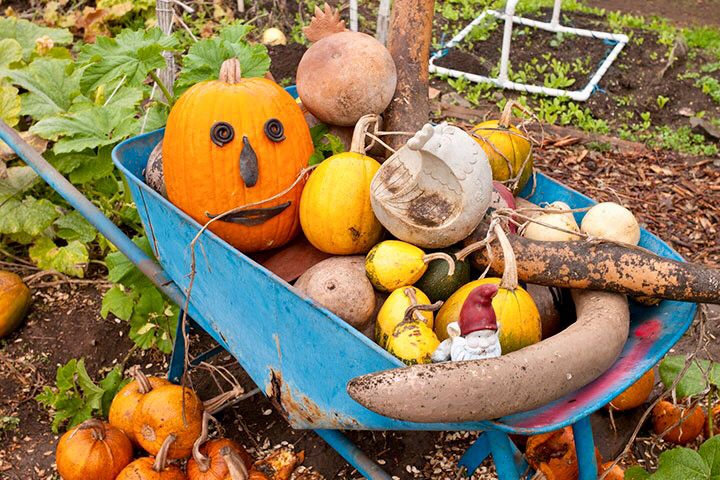 Hidden Villa tweet media