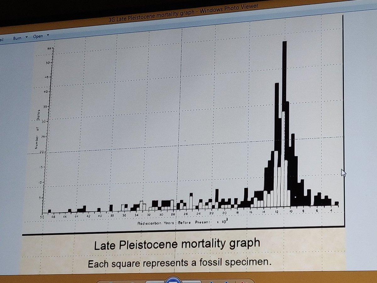 PollySpin's tweet image. #graphtwitter