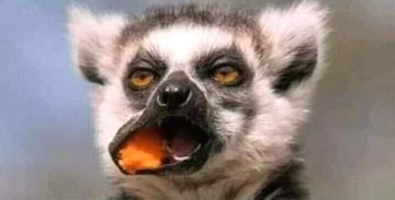 Divayetty1's tweet image. My daddy just said he likes Mercy stature😫😫😫🥺😭😂
#BBNaijaFinale #MercyForTheMoney #Mercy #BBNaijaFinale #BBNaija #BBNaija2019