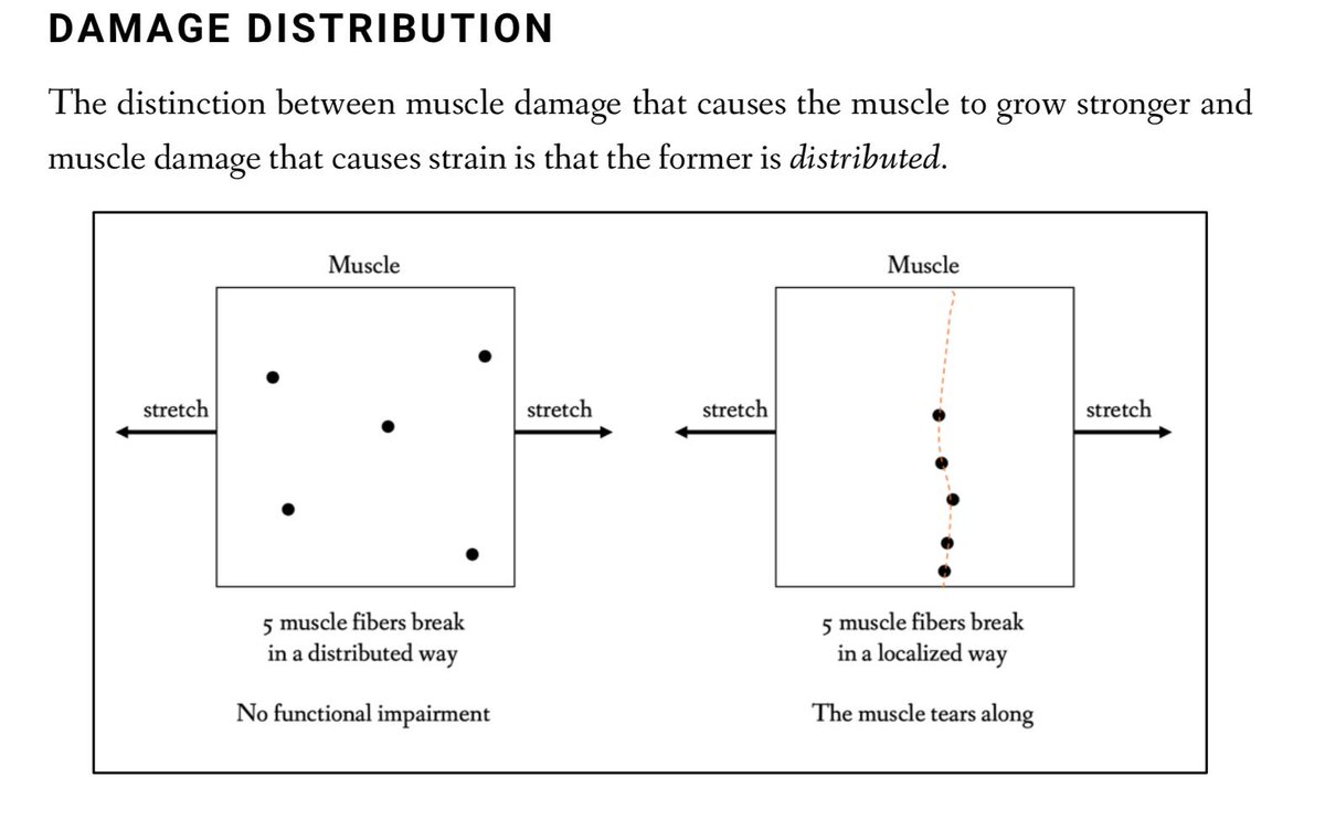 5/ Being antifragile requires the ability of breaking some sub-entities in a *distributed* way because, if the loss was localized, it could disrupt a function of the entity as a whole, leading to its death.(Excerpt from my book "The Power of Adaptation")