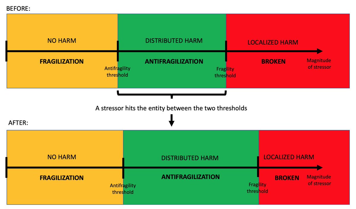 7/ The chart above isn't static. As an antifragile entity undergoes distributed harm, its ability to withstand future stressors increases (the thresholds move to the right).Distributed harm makes the antifragile more antifragile.