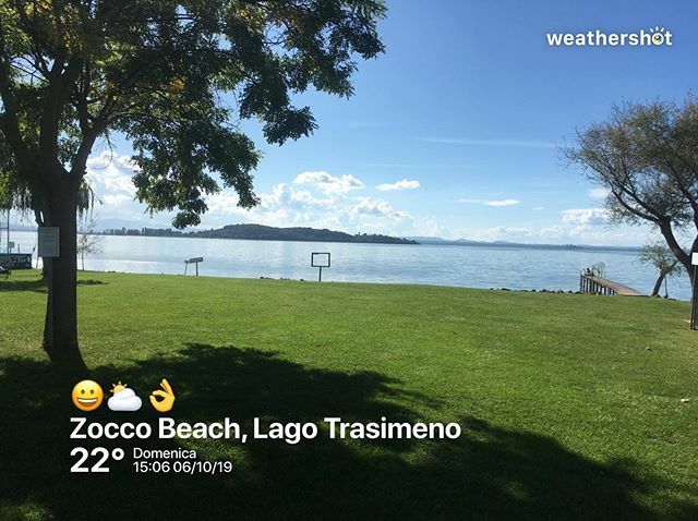 Zocco Beach tweet media