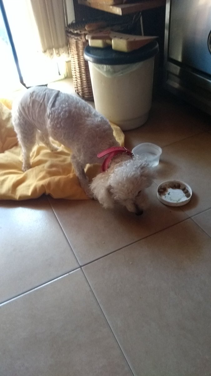 Familia tipo... Tipo Dani y Lola!