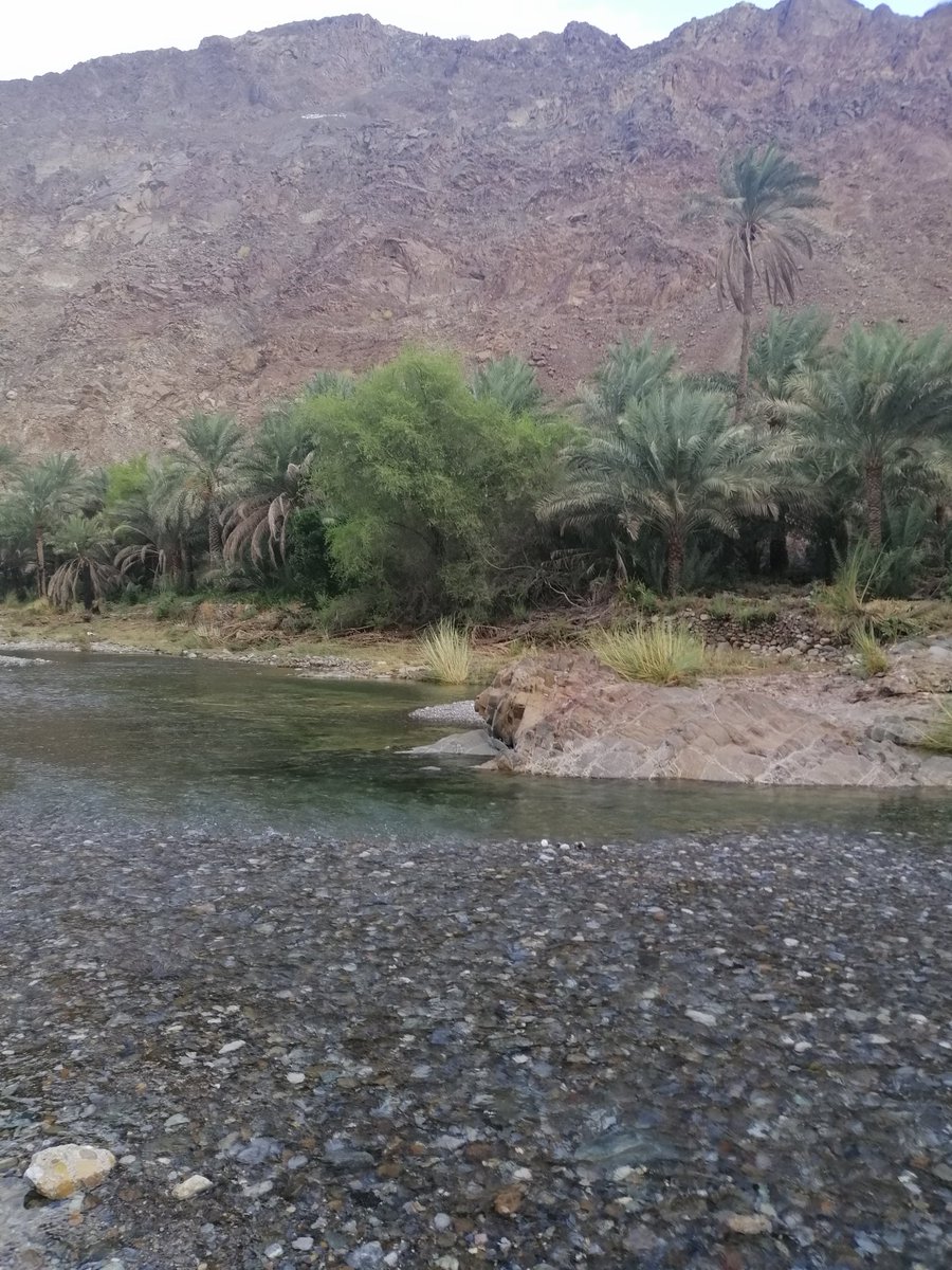 Reasons you should never vist Oman😛

#Oman #tourism #الرستاق #naturalpool #swimmingpond