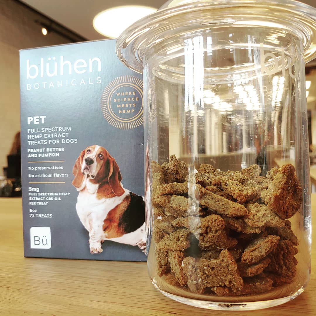 BluhenBotanical's tweet image. #SundayFunday is going to the dogs! Pack up your 🐕 and come snag some of our treats! #bloomwithbluhen 💚🌿