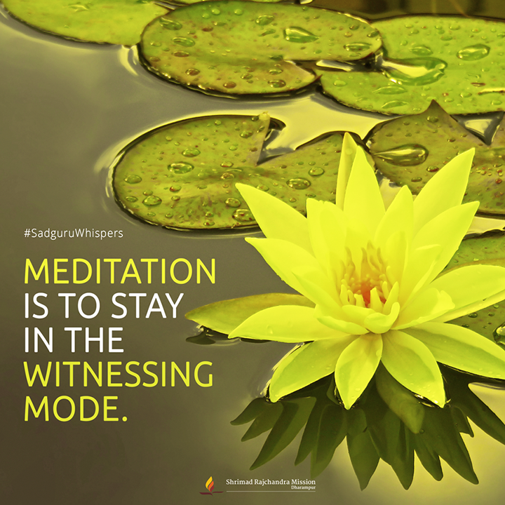 SRMDharampur's tweet photo. #SadguruWhispers #Quotes #QOTD #Meditation #DailyDose #QuoteOfTheDay #SpiritualQuotes https://t.co/M7p4RDtxjK