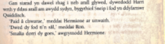 Do you like Harry Potter? Come and read it in different languages at our Pop-Up World of Languages at the Grafton Centre Cambridge <a href="/thegraftoncambs/">The Grafton</a> 19-27 October 2019! You can also listen to Mr Tickle and Alice in Wonderland being read <a href="/meits_owri/">MEITS_OWRI</a> <a href="/ahrcpress/">Arts and Humanities Research Council</a> <a href="/OWRILanguages/">OWRILanguages</a>