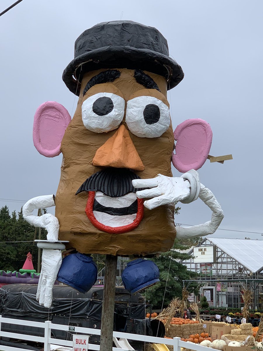 Eileen99's tweet image. #MrPotatoHead #FallinDC