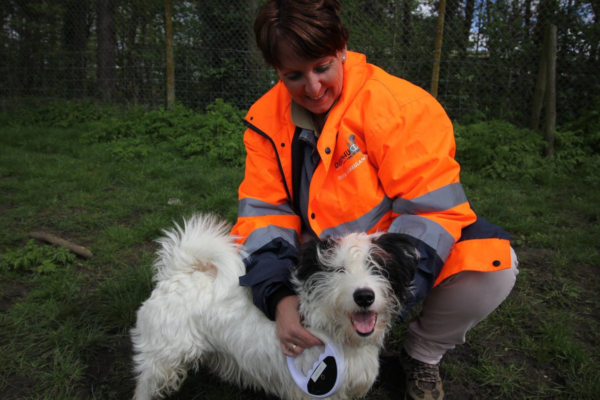 Dieren4u tweet media