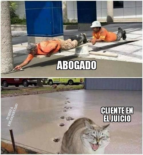 Juristanloqcido's tweet photo. https://t.co/viA7L1SXYD