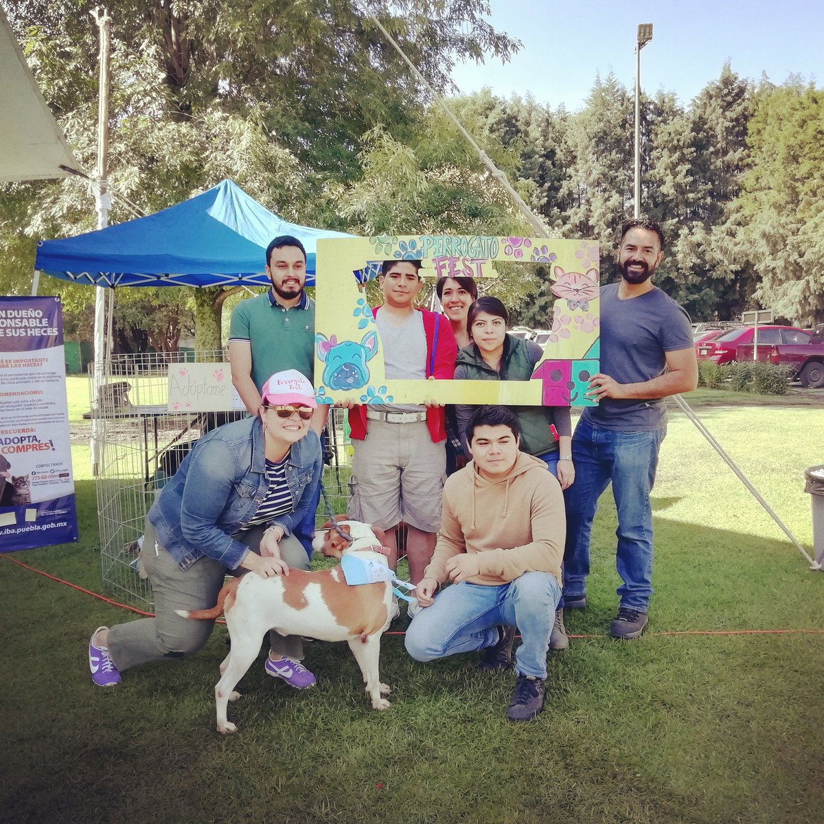2do día en el Perro Gato Fest, no te lo pierdas!
 🎊🎉🐈🐕🎉🎊
#TeamIBA #bienestaranimal #cholulapuebla