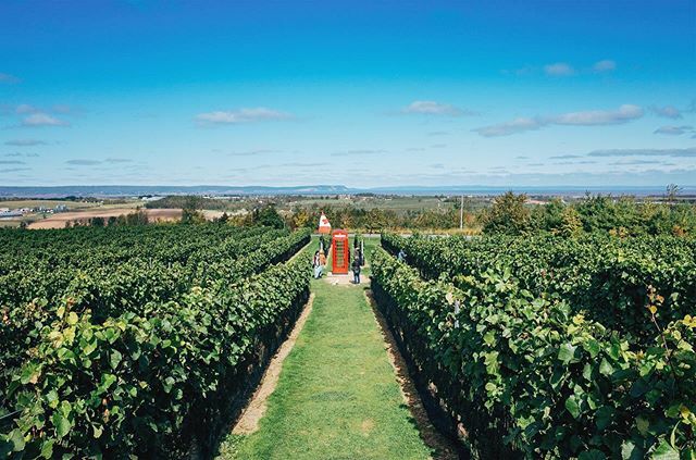 The #PhoneBooth at @luckettvineyards ift.tt/35bMvUN