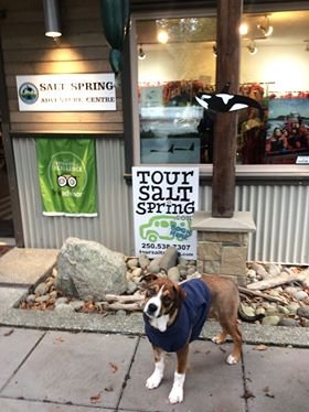 SSadventureco's tweet image. Thanks giving tradition is one of my favorites because it brings us all together, whether its over dinner or an adventure let the staff at salt spring adventure company be a part of your festive season this year! We are still on call book your adventure with us today!