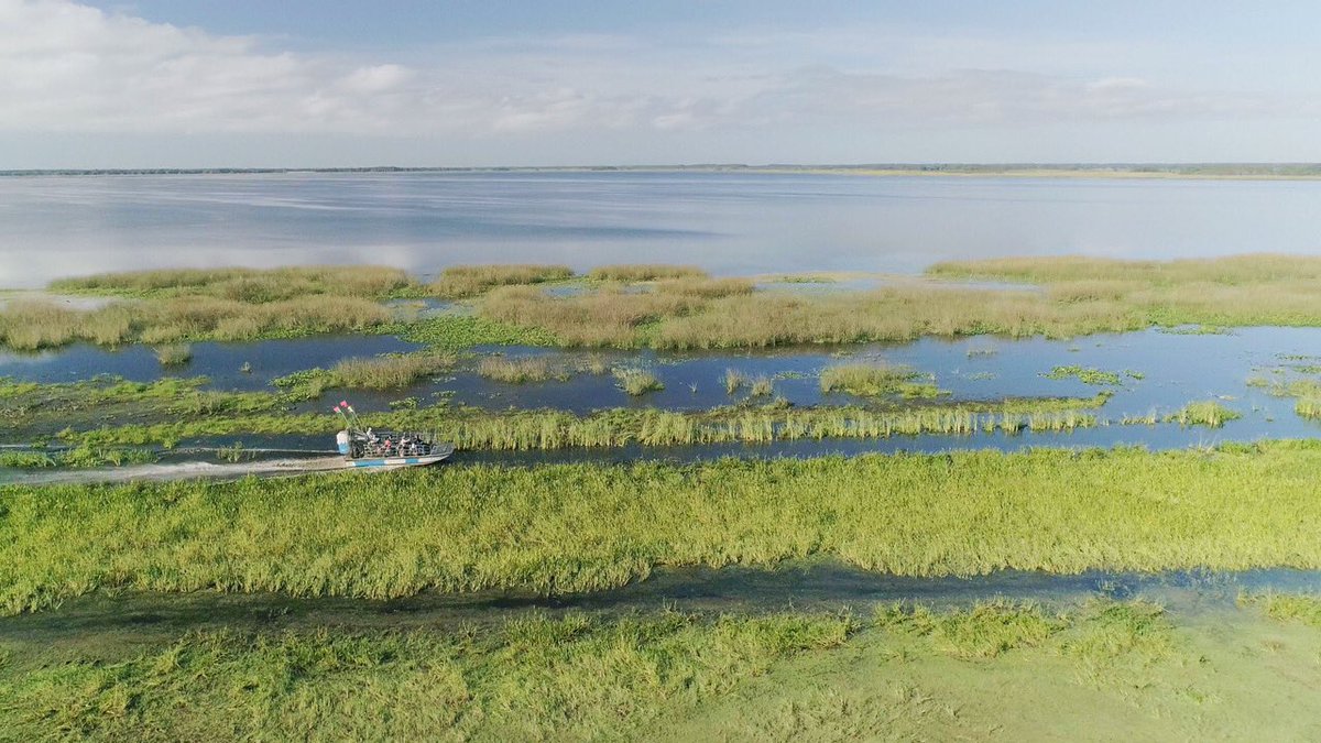 Light Enterprises tweet media