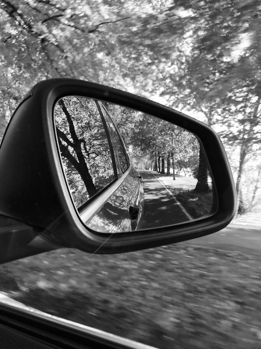 Nat70706755's tweet image. #falldriving