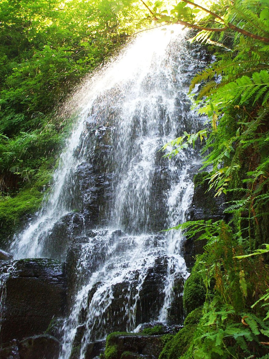 Rachel Y Carillo tweet media