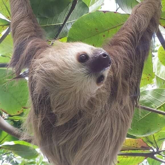 Rachel Y Carillo tweet media