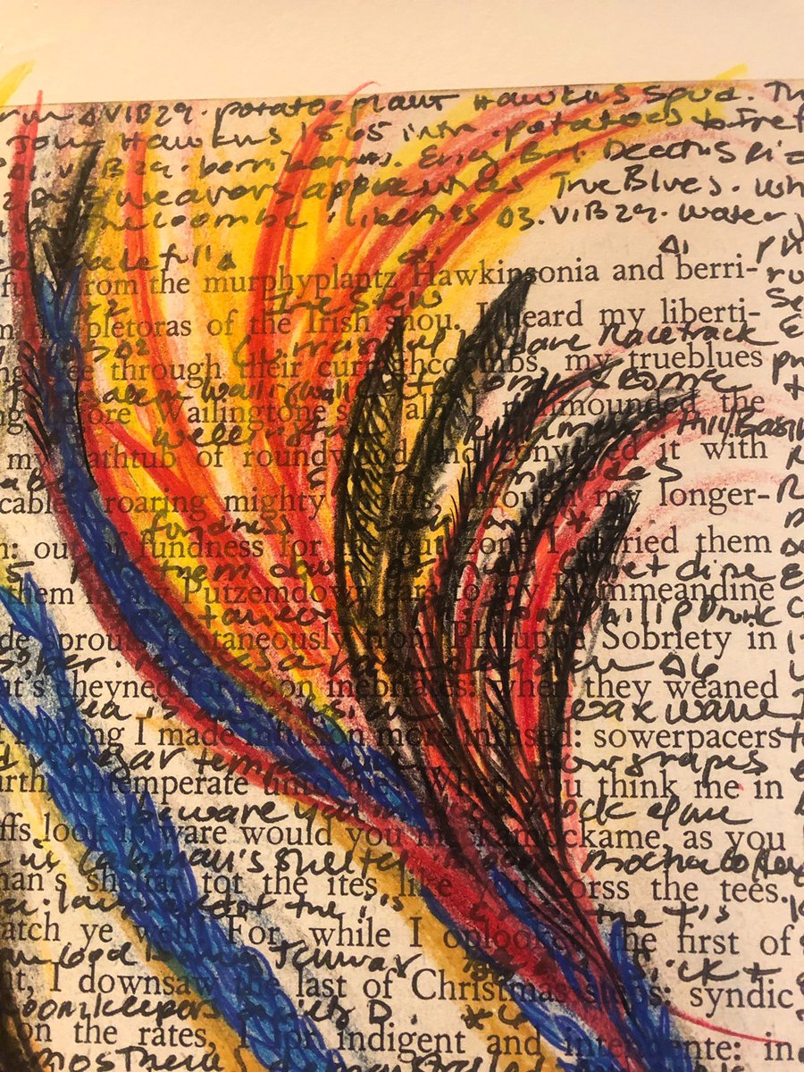 LookUpYoga's tweet photo. Swallows on Fire ๐ฅ p 542
#wakepages #finnshotel https://t.co/hJ2KlmFJFQ