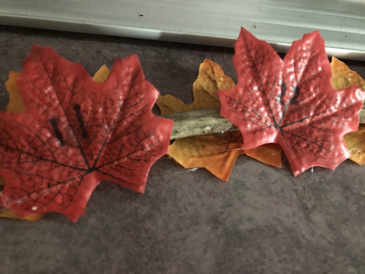 MissTJermey's tweet image. On Friday, we had fun working on our patterning skills! Our class created growing and shrinking patterns on these leaves. #wolvesmath #tldsblearns @WoodvilleES @WESPrimaryPack