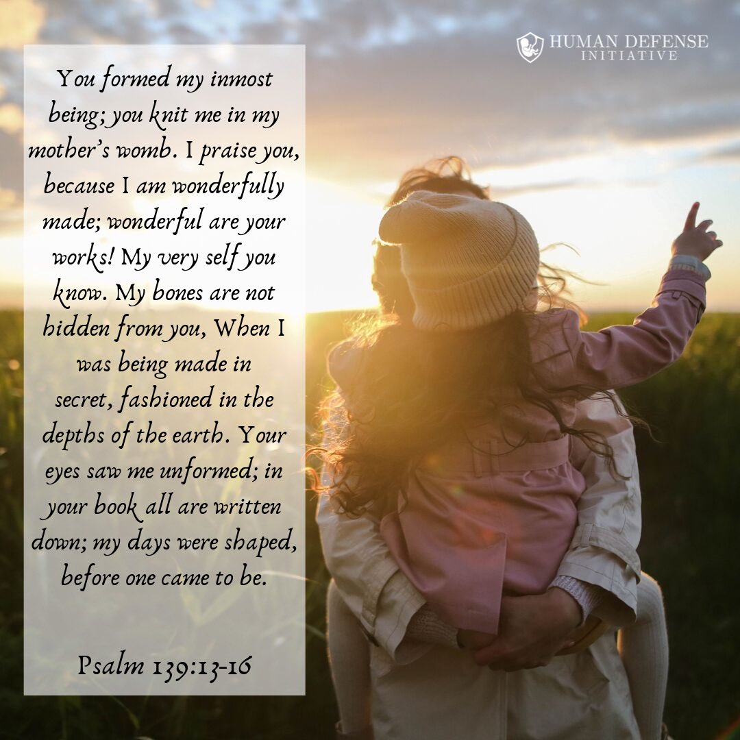HumanDefenseINI's tweet photo. All human beings are fearfully and wonderfully made with intrinsic human rights and in the image of God. A good reminder for Respect Life Sunday. #RespectLifeSunday https://t.co/QOtPqjJ2l7