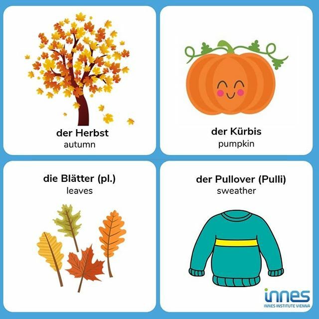 SUNDAY LEARNING I DER HERBST

Autumn is officially here and these are the four must-know words of this season.

Which other German words you know, that relate to autumn? Show us in comments!

Evening German courses start TOMORROW! Register NOW for one of… ift.tt/33a0bxL