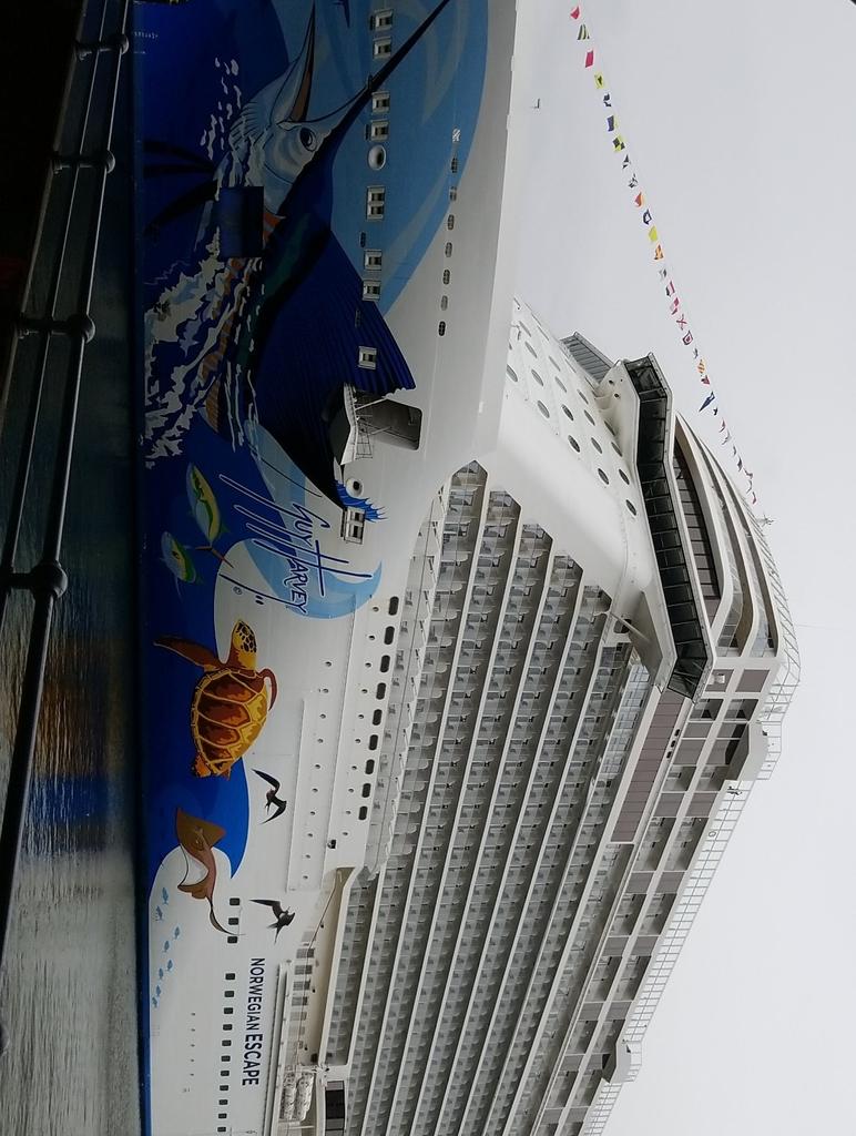 Liana_bro0ke's tweet photo. Im gonna cruise like a Norwegian!
#freestyleTime 🗽🛳
@CruiseNorwegian https://t.co/8cOCi3Z7X9