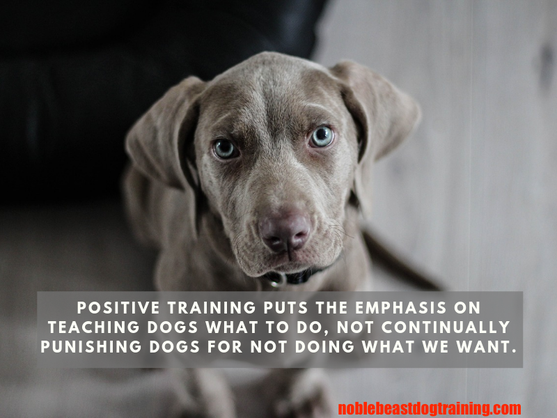 NobleBeastDog's tweet photo. Here at Noble Beast- we are a positive reinforcement dog training company. We do not use fear, pain, or punishment in any of our services! #SundayMorning #SundayMotivation

https://t.co/scyZqPrrRF

#denverpets #denverdogtraining https://t.co/6bGmXXKI9I