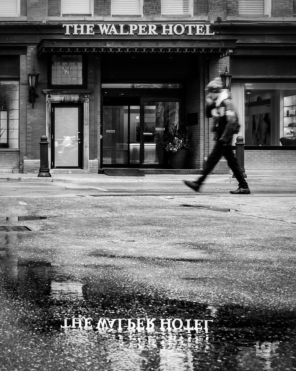LOFphotography's tweet photo. Sunday morning walk around #DTK πΆ
#StreetsofKW #LOFphotography https://t.co/SVe8jGvR8s